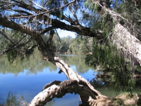 Bowen River, Photo by Nick Cuff